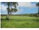 89 Appletree Flat road, Copmanhurst NSW 2460