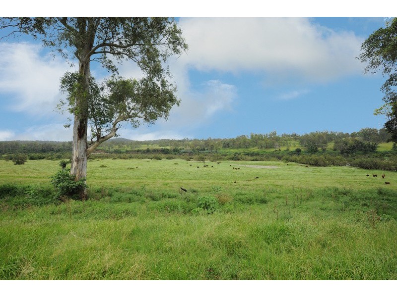 89 Appletree Flat road, Copmanhurst NSW 2460