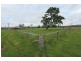 89 Appletree Flat road, Copmanhurst NSW 2460
