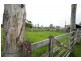 89 Appletree Flat road, Copmanhurst NSW 2460