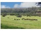 89 Appletree Flat road, Copmanhurst NSW 2460