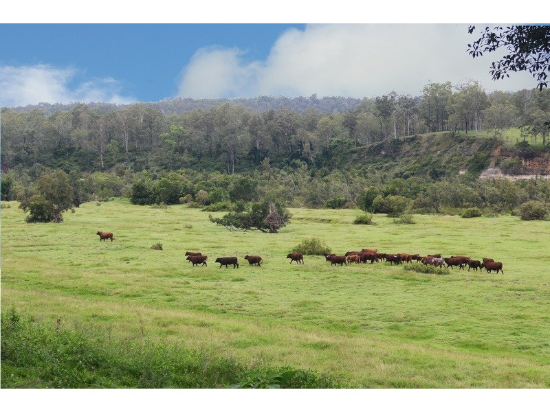 89 Appletree Flat road, Copmanhurst NSW 2460