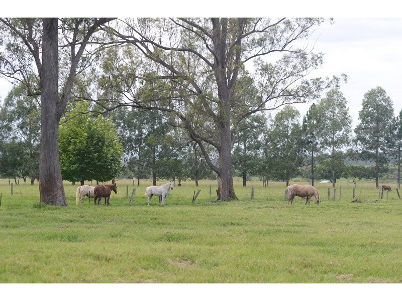 89 Appletree Flat road, Copmanhurst NSW 2460