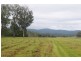 89 Appletree Flat road, Copmanhurst NSW 2460