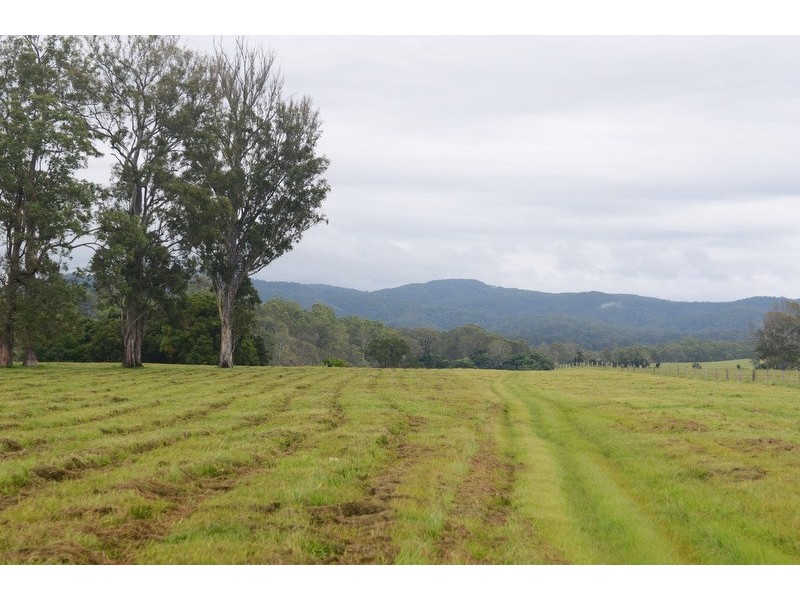 89 Appletree Flat road, Copmanhurst NSW 2460