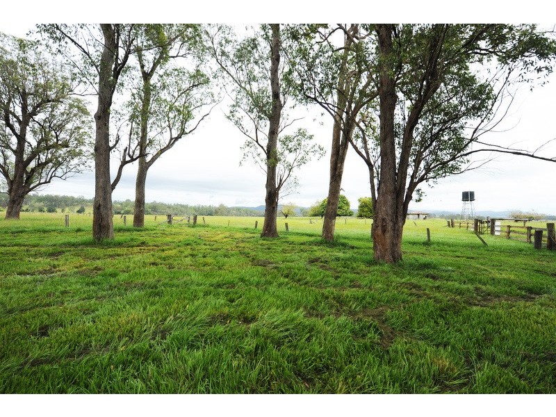 89 Appletree Flat road, Copmanhurst NSW 2460