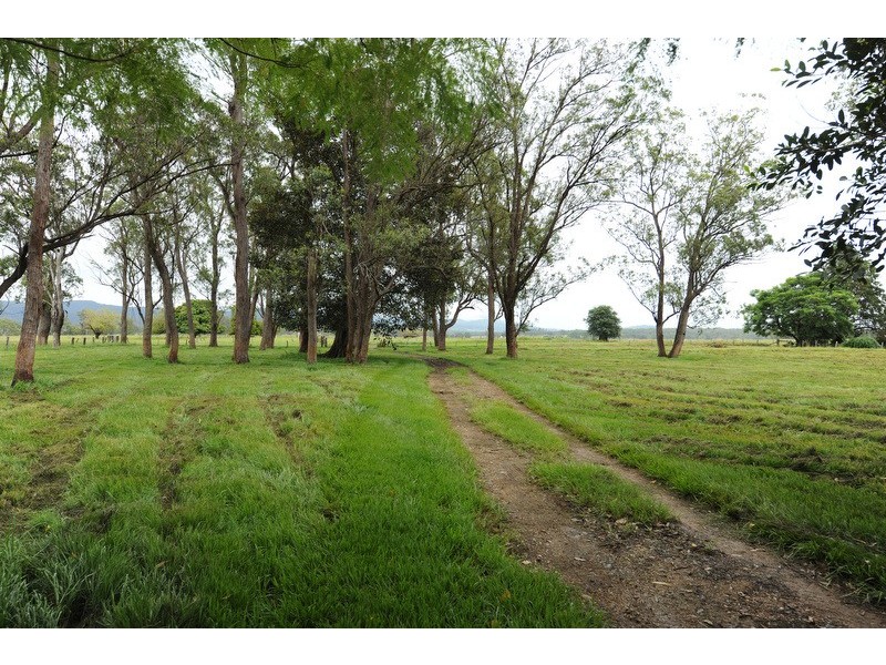 89 Appletree Flat road, Copmanhurst NSW 2460