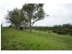 89 Appletree Flat road, Copmanhurst NSW 2460
