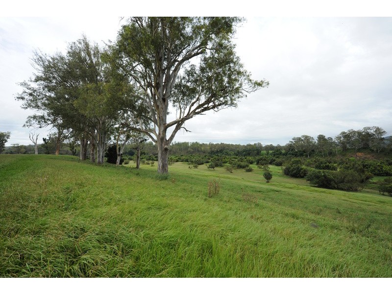 89 Appletree Flat road, Copmanhurst NSW 2460