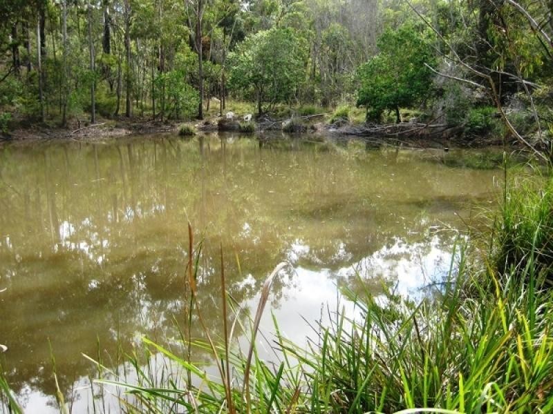 303 McGills Rd, Kungala NSW 2460