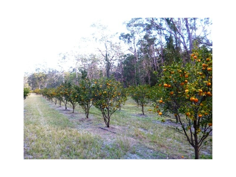 303 McGills Rd, Kungala NSW 2460