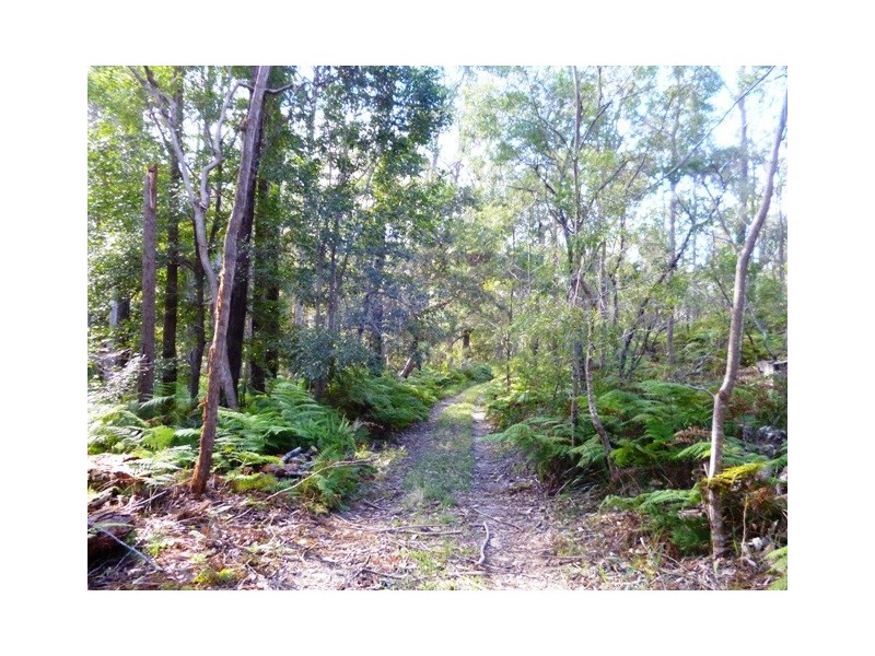 303 McGills Rd, Kungala NSW 2460