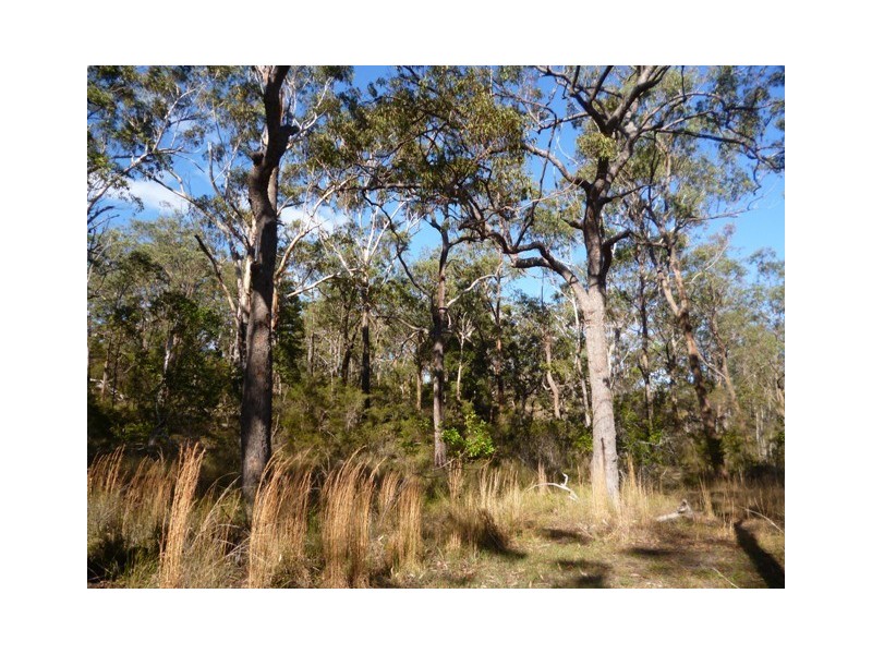 303 McGills Rd, Kungala NSW 2460