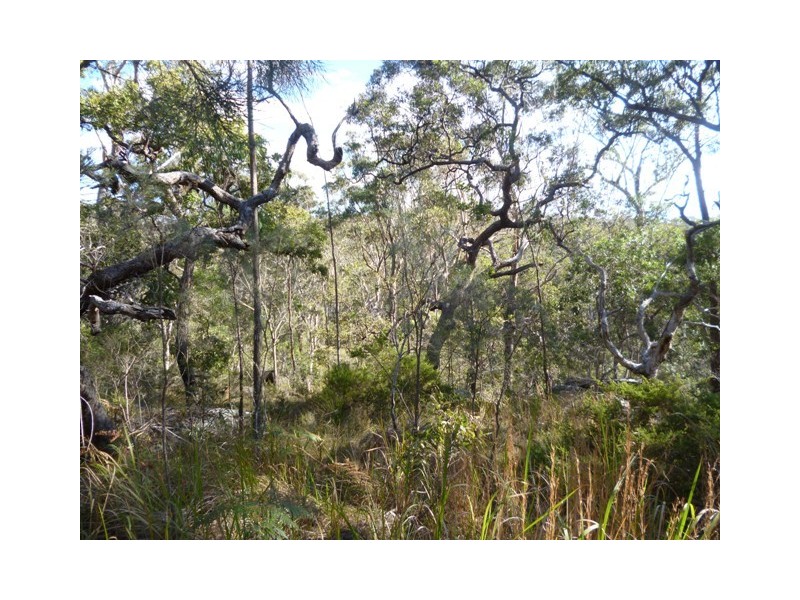 303 McGills Rd, Kungala NSW 2460