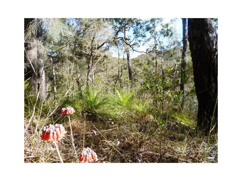 303 McGills Rd, Kungala NSW 2460