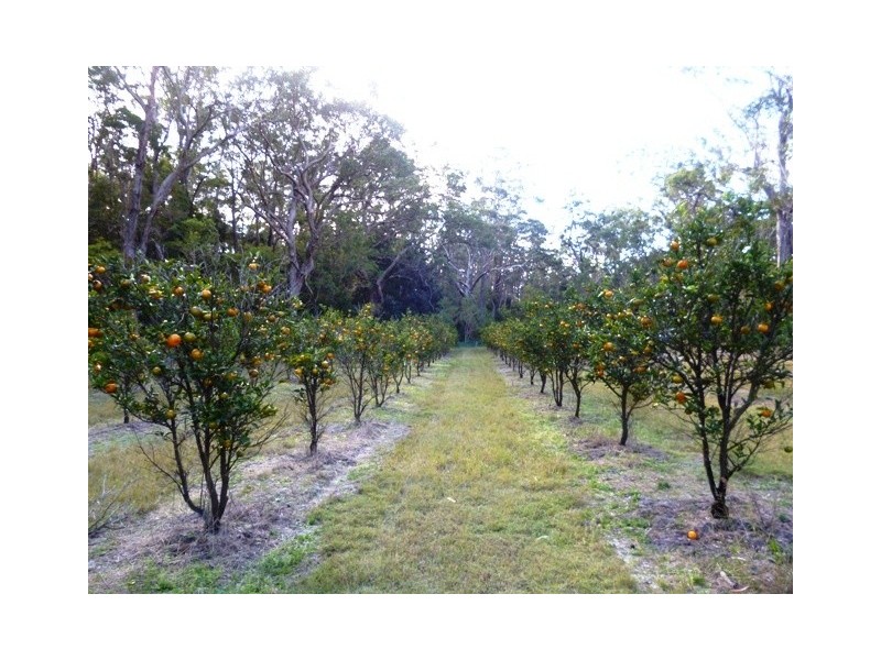 303 McGills Rd, Kungala NSW 2460