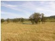 Lot 452 Armidale Road, Nymboida NSW 2460