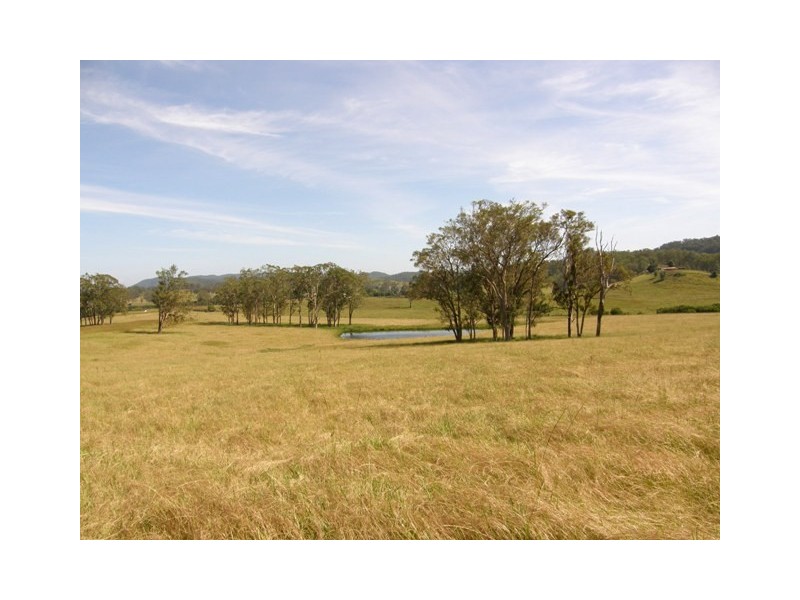 Lot 452 Armidale Road, Nymboida NSW 2460