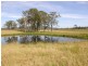 Lot 452 Armidale Road, Nymboida NSW 2460