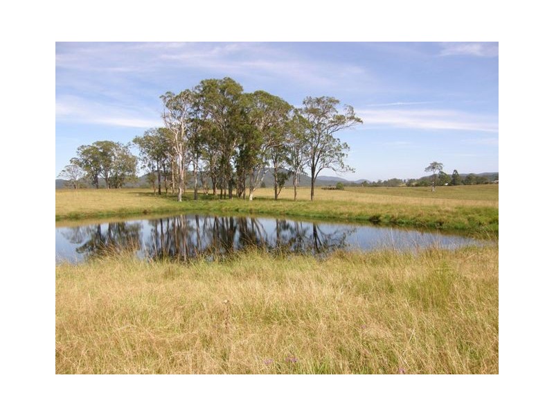 Lot 452 Armidale Road, Nymboida NSW 2460
