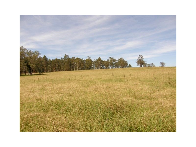 Lot 452 Armidale Road, Nymboida NSW 2460