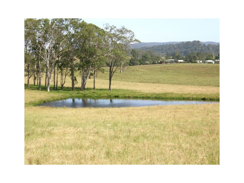 Lot 452 Armidale Road, Nymboida NSW 2460