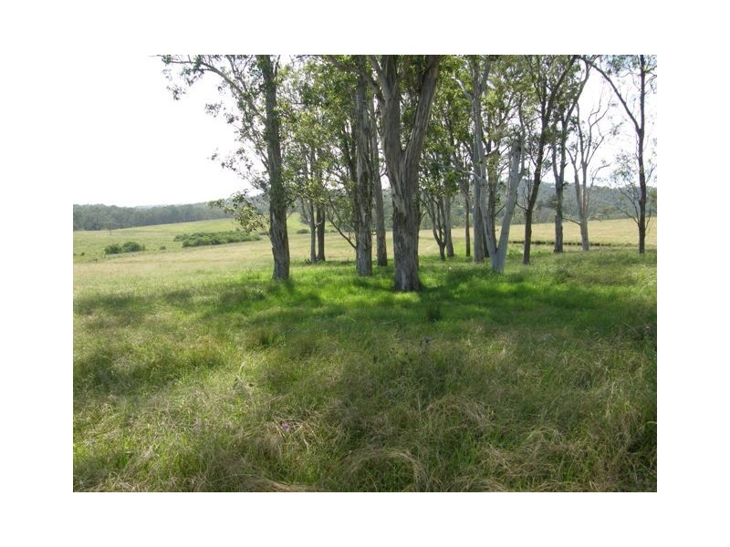 Lot 452 Armidale Road, Nymboida NSW 2460