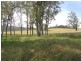 Lot 452 Armidale Road, Nymboida NSW 2460