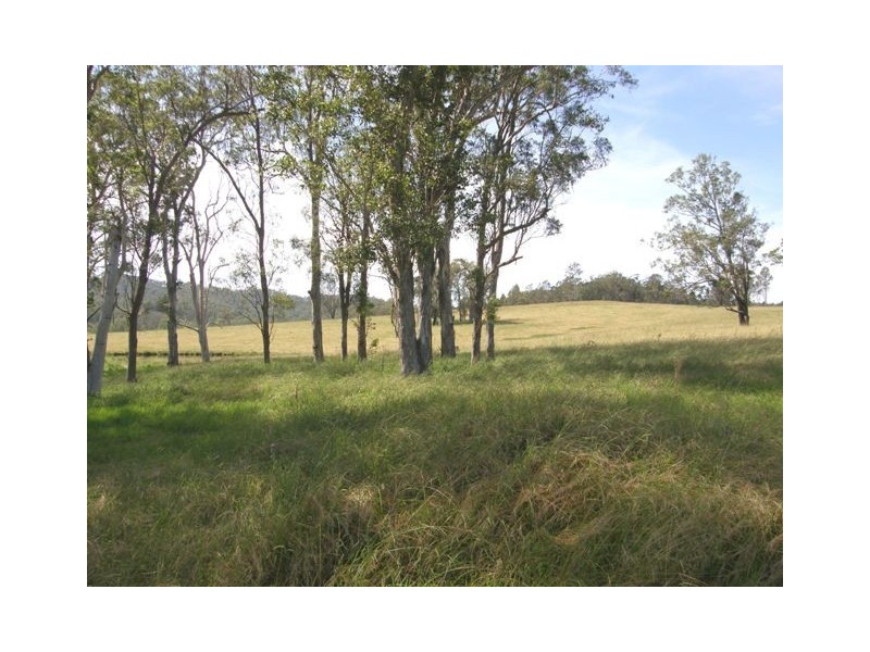 Lot 452 Armidale Road, Nymboida NSW 2460
