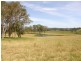 Lot 452 Armidale Road, Nymboida NSW 2460