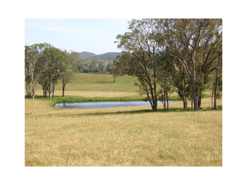 Lot 452 Armidale Road, Nymboida NSW 2460