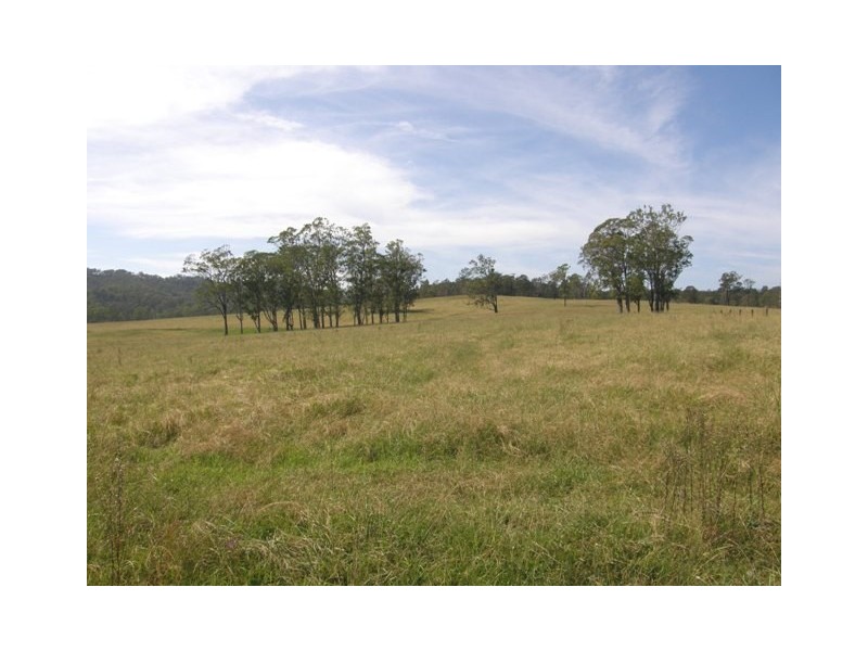 Lot 452 Armidale Road, Nymboida NSW 2460