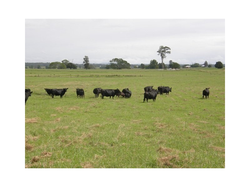 LOT 27 McLennans Lane, Waterview NSW 2460