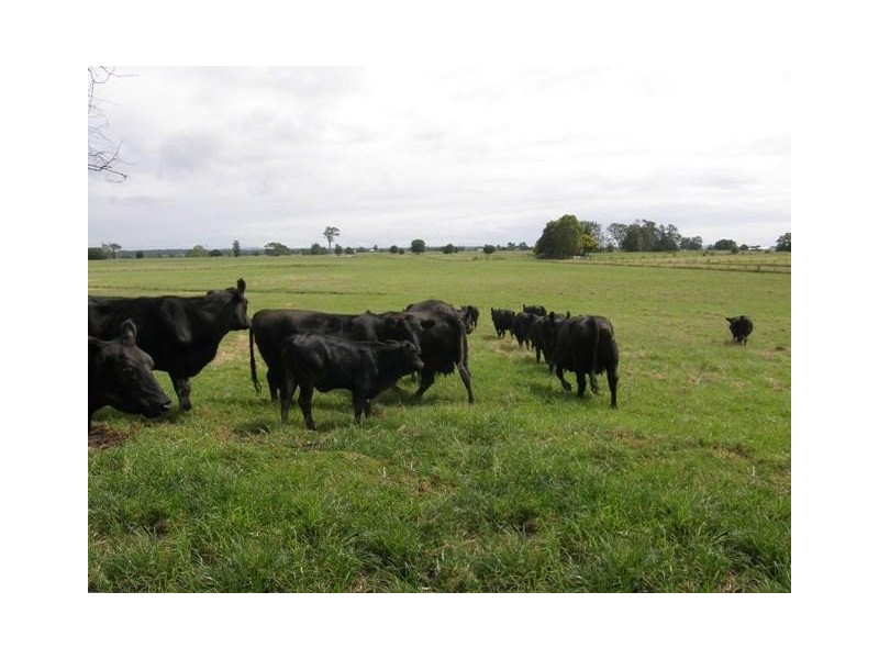 LOT 27 McLennans Lane, Waterview NSW 2460