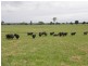 LOT 27 McLennans Lane, Waterview NSW 2460
