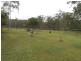 55 Greberts Road, Whiteman Creek NSW 2460