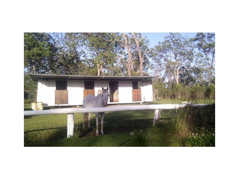 55 Greberts Road, Whiteman Creek NSW 2460
