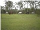 55 Greberts Road, Whiteman Creek NSW 2460