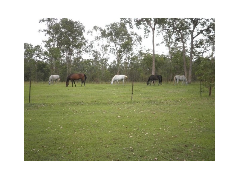 55 Greberts Road, Whiteman Creek NSW 2460
