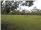 55 Greberts Road, Whiteman Creek NSW 2460