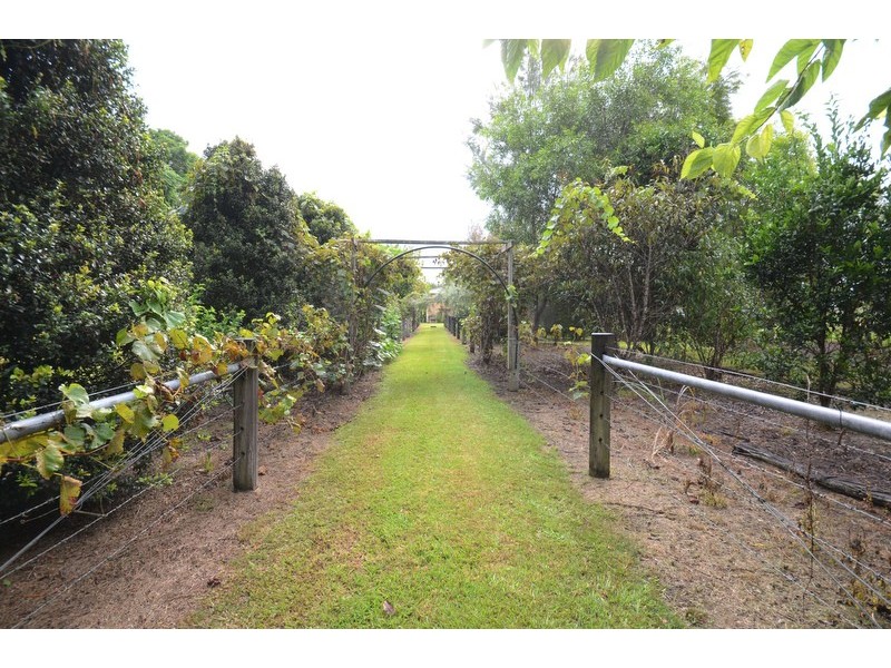 242 Lawrence Road, Great Marlow NSW 2460