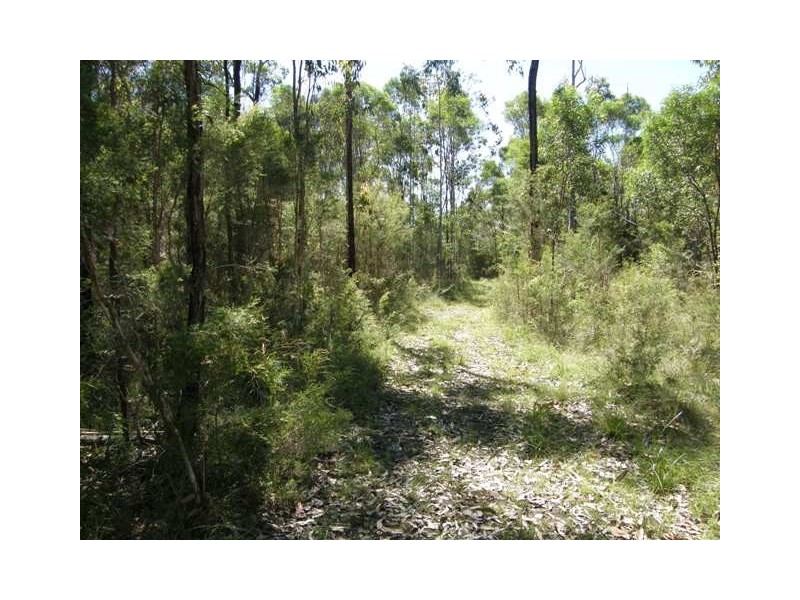 575 Dinjerra Road, Glenugie NSW 2460