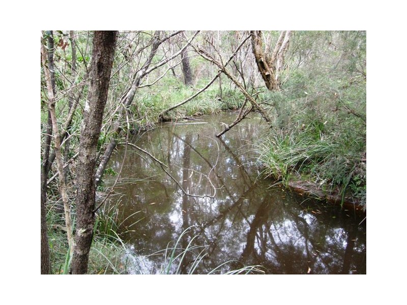 575 Dinjerra Road, Glenugie NSW 2460