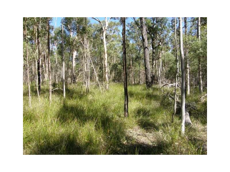 575 Dinjerra Road, Glenugie NSW 2460