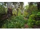 4970 Pringles Way, Lawrence NSW 2460