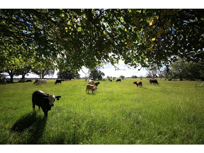 572 Coldstream Road, Ulmarra NSW 2462