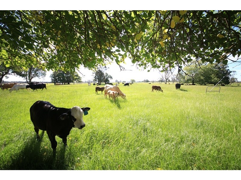 572 Coldstream Road, Ulmarra NSW 2462