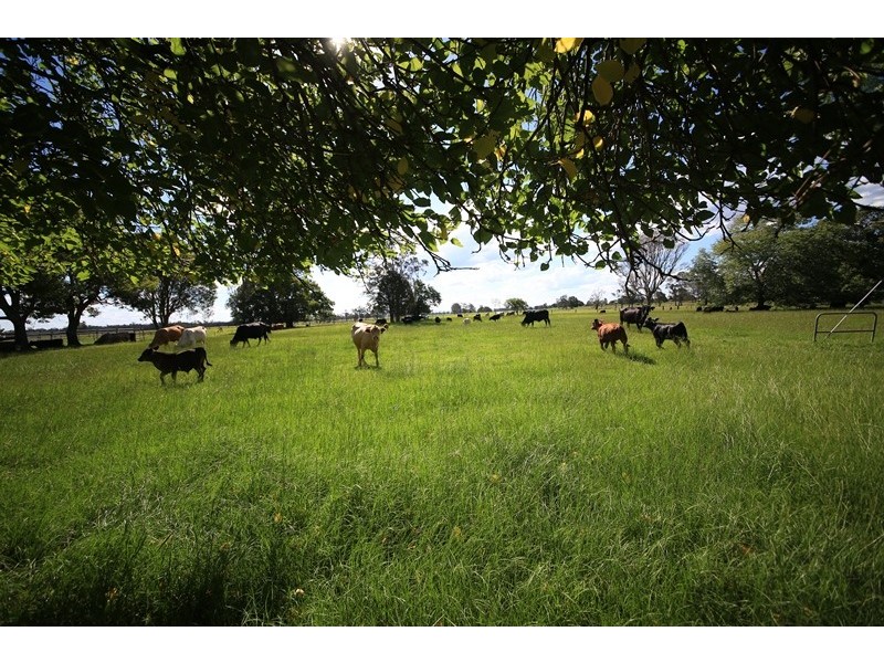 572 Coldstream Road, Ulmarra NSW 2462