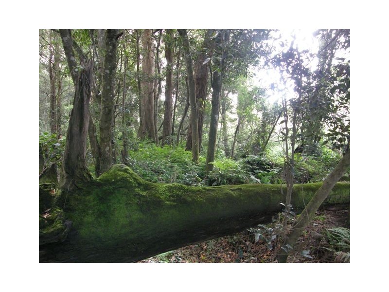 Lot 2 Kungala Road, Kungala NSW 2460