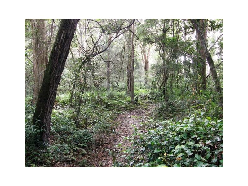 Lot 2 Kungala Road, Kungala NSW 2460